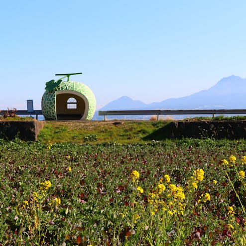 フルーツバス停ロード