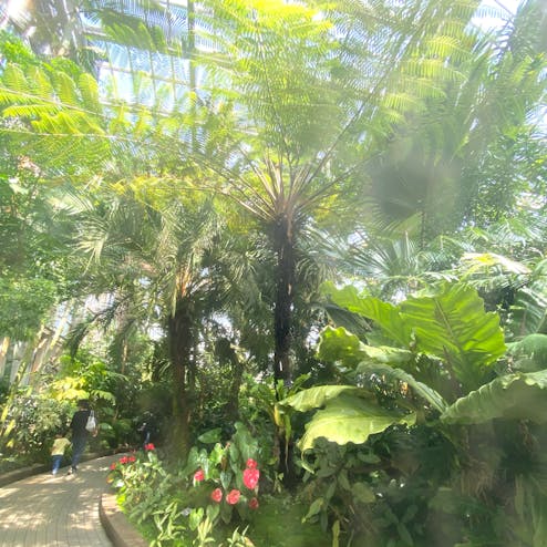 京都府立植物園