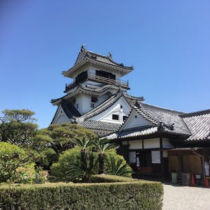 凛々しい高知城。