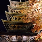 昨秋、東寺の紅葉ライトアップ