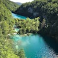 Plitvice Lakes National Park in Croatia.
クロアチア プリトヴィッツエ湖群国立公園.
ちょうど一年前。一日中湖群の周りをハイキング。マイナスイオンがすごいのか感じたことのない爽快感‼️ザグレブへの帰り道、明日もまた来ようかと本気で考えたぐらい感動的でした。ザグレブから日帰り出来ます。まだ行っていない方はぜひぜひこの景色を見てきて下さい‼️
#クロアチア #プリトヴィッツエ