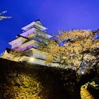 ライトアップされた鶴ヶ城と桜
