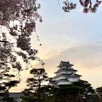 夕日と桜と鶴ヶ城