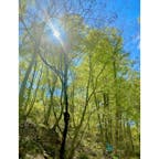 2022.4.23 白神山地