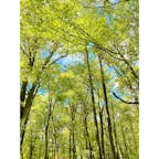 2022.4.23 白神山地