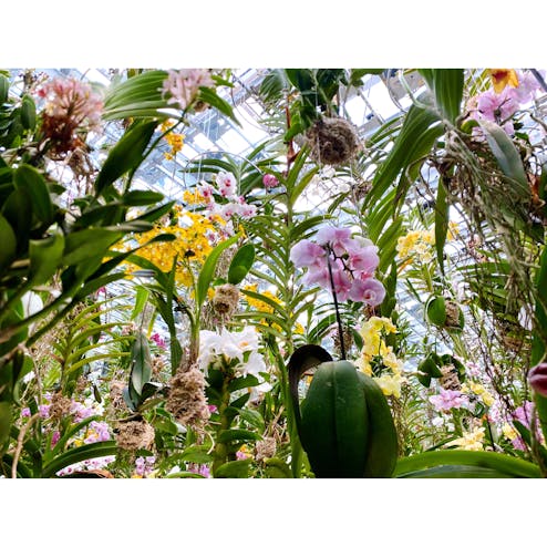 チームラボ プラネッツトーキョー DMM.com