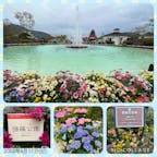 2022年4月17日(日)
日本初のフランス式整型庭園「箱根強羅公園」⛲️
四季折々の花だけでなく、様々な体験や食事が
楽しめる場所でした✨

#箱根強羅公園 #国登録記念物 #箱根 #神奈川 #庭園 #噴水