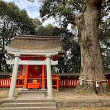 #大分県#宇佐市#宇佐神宮
宇佐神宮内の八坂神社です。