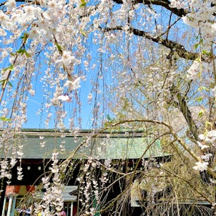 秋田県　武家屋敷通り