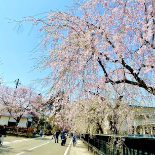 秋田県　武家屋敷通り