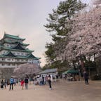 2022/03/30 🏯🌸
@名古屋城

とっても見頃の時期に行けました！
今年は屋台もでてて、「お花見」を満喫できました。

夏になるので色んなところに向日葵とかを見に行きたいです🌻