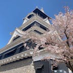 少し前に行ってきました。
桜とお城が綺麗でした。

@熊本城