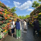 両サイドがチューリップの壁になっているのは、黒部の雪の渓谷をイメージしたそうです。
とても美しい壁でした。