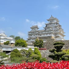 姫路城
広大な敷地面積
天守までの過酷な道のり
6階建てで広い城内は
今でも使えそうな完璧な要塞
今まで行った城で1番かもしれない