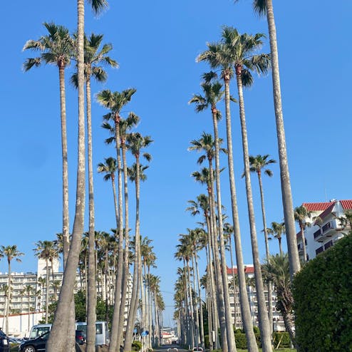 リビエラ逗子マリーナ