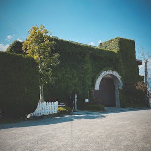 グレイスワイナリー

#山梨