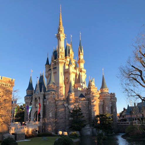 東京ディズニーランド