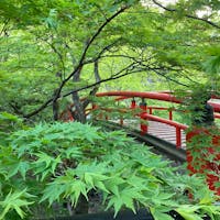 グリーンも眩しいです