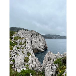 和歌山県日高郡にある白崎海洋公園に行きました
生憎の雨でしたが雨でも綺麗な景色を見ることができました