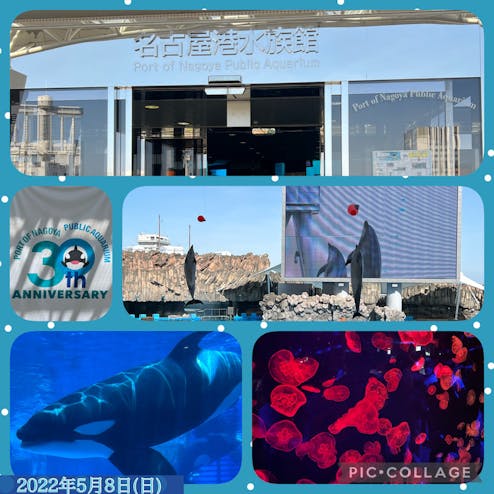 名古屋港水族館