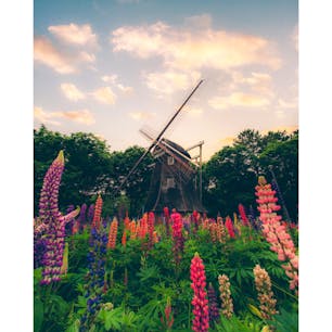 愛知の名城公園