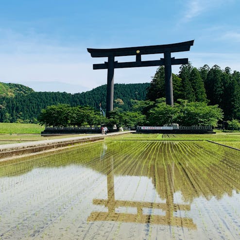 大斎原 おおゆのはら の投稿写真 感想 みどころ 和歌山県 熊野本宮大社 熊野本宮大社旧社地大斎原高 トリップノート 大斎原 おおゆのはら の投稿写真 感想 みどころ 和歌山県 熊野本宮大社 熊野本宮大社旧社地大斎原高 トリップノート