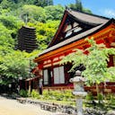 奈良のおすすめ一人旅スポットランキングtop31 観光地