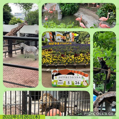 横浜市立野毛山動物園