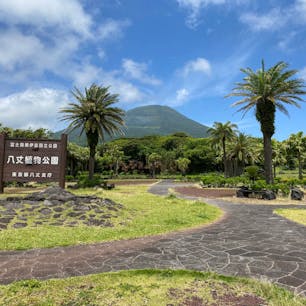 想像以上に広くて、亜熱帯の森が広がってました🌴