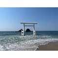 桜井二見ヶ浦⛩

海にある真っ白な鳥居。糸島観光の際には是非✨

#福岡