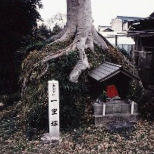 大宅一里塚
コレは随分前の写真ですね、多分昭和時代かな？

今は此の面影は有りませんね。
残るは、お地蔵さんだけかな。

#サント船長の写真  #京都の道標