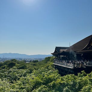 〰️Kyoto🇯🇵〰️
#京都#清水寺