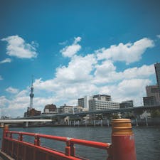 東京観光。
天気が良い時にいい写真が撮れました。