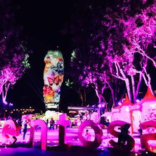 シンガポール🦁💓