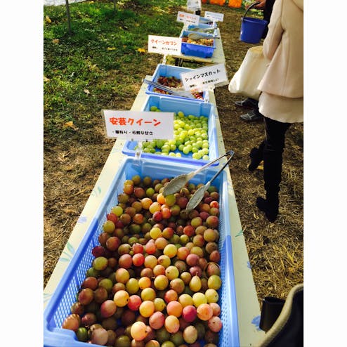 小松沢レジャー農園