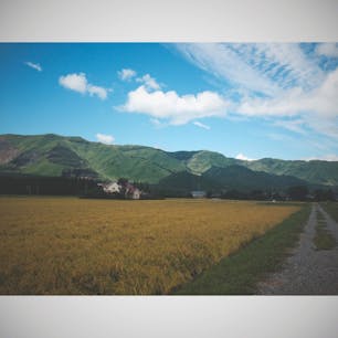 熊本県🐻
赤水駅🌲✨
ほんとに、広大な景色
広がってて、海外に来た気分。
空気がキレイで、癒される☺️