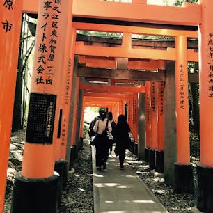 2018.5.5
京都府 伏見稲荷大社