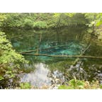 神の子池

摩周湖の地下水によってできたと言われている青い清水を湛える池です。

北海道に行った際はぜひ！