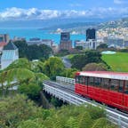 📍🇳🇿
Wellington, New Zealand