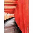 #京都　#伏見稲荷神社
春休みシーズンに行って来たので人混みがすごかった…