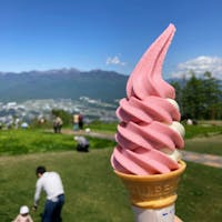 ルバーブのソフトクリーム
酸味があって美味しい