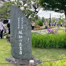 ⭐︎堀北菖蒲園⭐︎
江戸の名所の一つで錦絵の題材にもなった場所だそうです。それほど広い敷地ではないのですが、満開の菖蒲を観ることが出来て良い時間を過ごせました。入場無料なのも嬉しい。「葛飾菖蒲まつり」の期間中だった為か園外には2軒ほど屋台が出ていてちょっとしたお祭りの雰囲気も楽しめました。
#東京　#江戸　#堀切菖蒲園　#東京花めぐり

最寄駅：京成電鉄本線　堀切菖蒲園駅
来訪日：2022/6/12