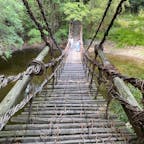 祖谷まで行かなくてもかずら橋が見られるとは知らなかった！