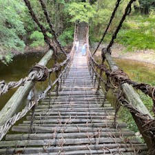 祖谷まで行かなくてもかずら橋が見られるとは知らなかった！