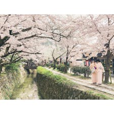 #哲学の道

今年の春に撮ったものです。
まだまだ人が少なくて、ゆっくり見ることが出来ました。
綺麗な景色に画質が追いつきません😂

#京都 #京都府