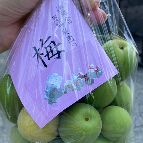 浜離宮恩賜庭園