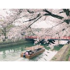 #平安神宮 の近く

桜なんかを撮っていると、携帯画質の限界を感じます😅

#京都府 #京都