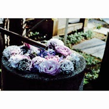 #埼玉　#行田八幡神社
#花手水
かわいい花がたくさん咲いてて綺麗でした（小学生の感想か）