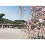 #渡月橋

これでも少ない方だと思うのですが、ここら辺は平日でも人が多いですね😅

#京都府 #京都 #嵐山