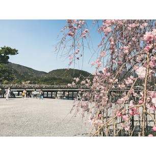 #渡月橋

これでも少ない方だと思うのですが、ここら辺は平日でも人が多いですね😅

#京都府 #京都 #嵐山
